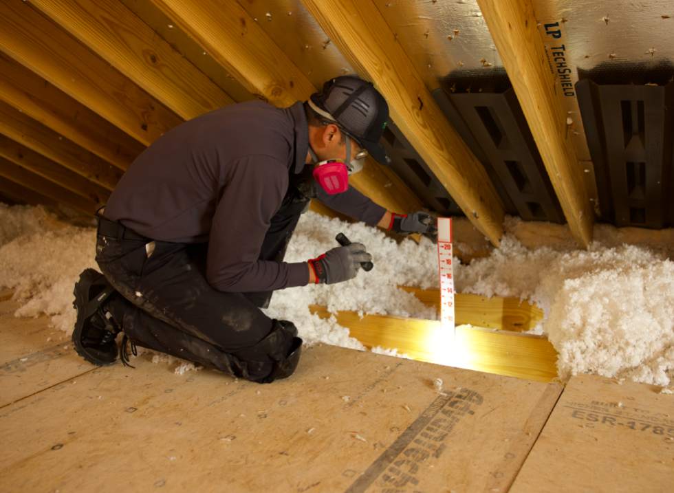 terminix tech in attic